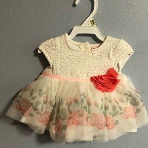 Little Lass Daly Baby Girl Rose Dress. Size 3-6 months